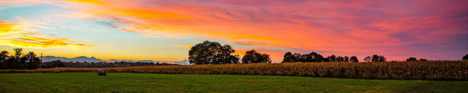 Gold Quill Spotlight: Helping Farmers Look Up and Live