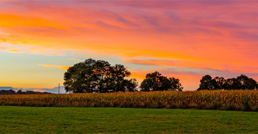 Gold Quill Spotlight: Helping Farmers Look Up and Live