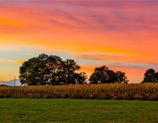 Gold Quill Spotlight: Helping Farmers Look Up and Live